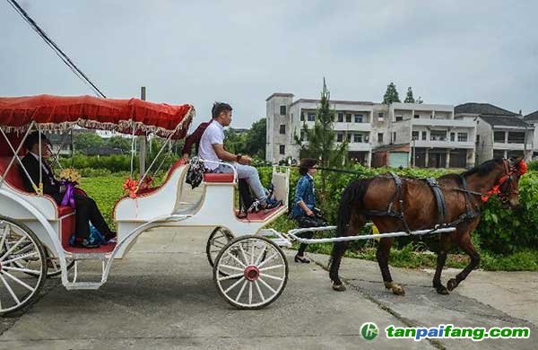 低碳婚禮 乘坐馬車去“娶親”